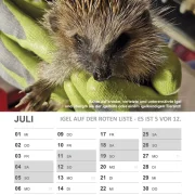 Wandkalender Igel