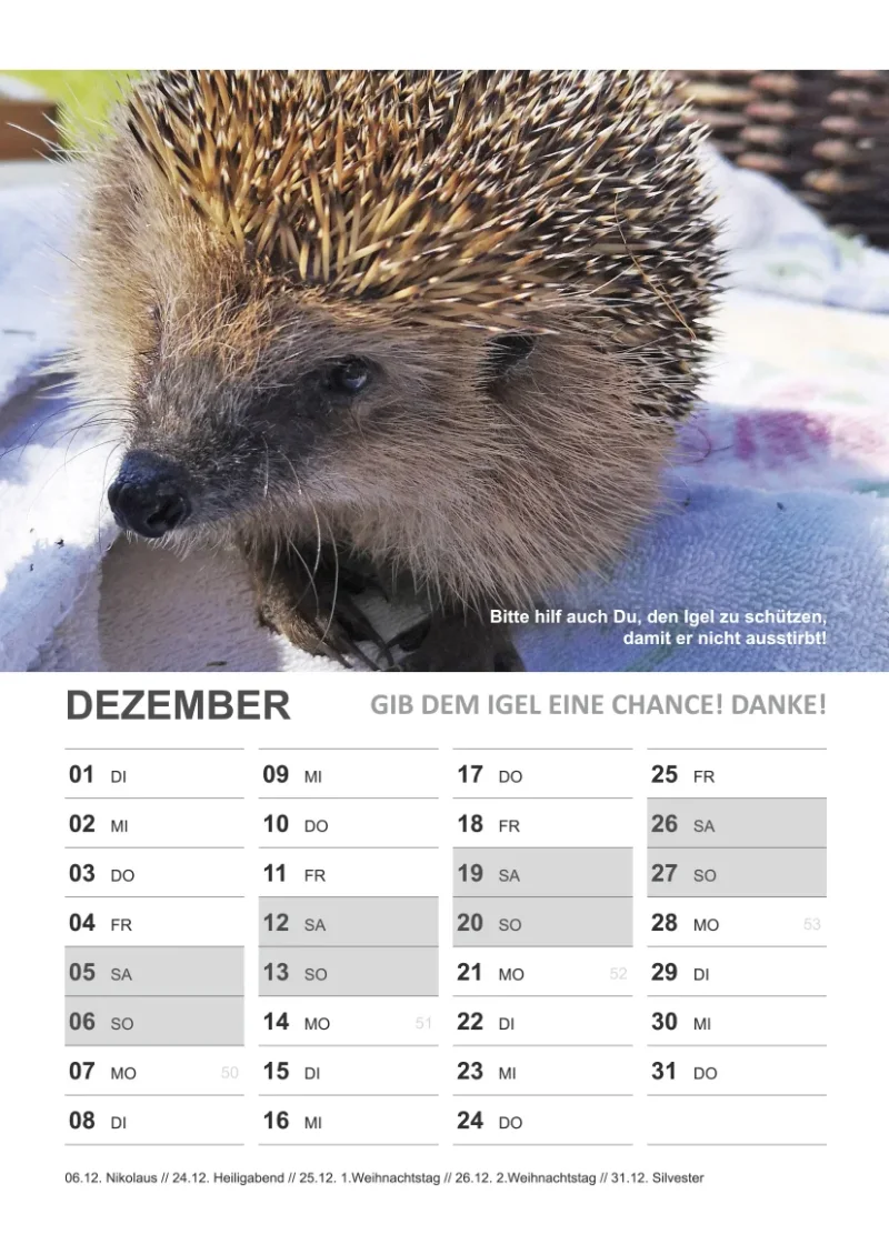Wandkalender Igel