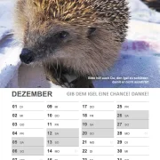 Wandkalender Igel