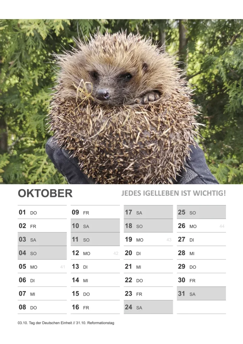 Wandkalender Igel