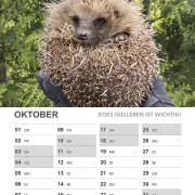 Wandkalender Igel