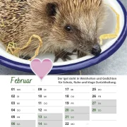 Igelkalender