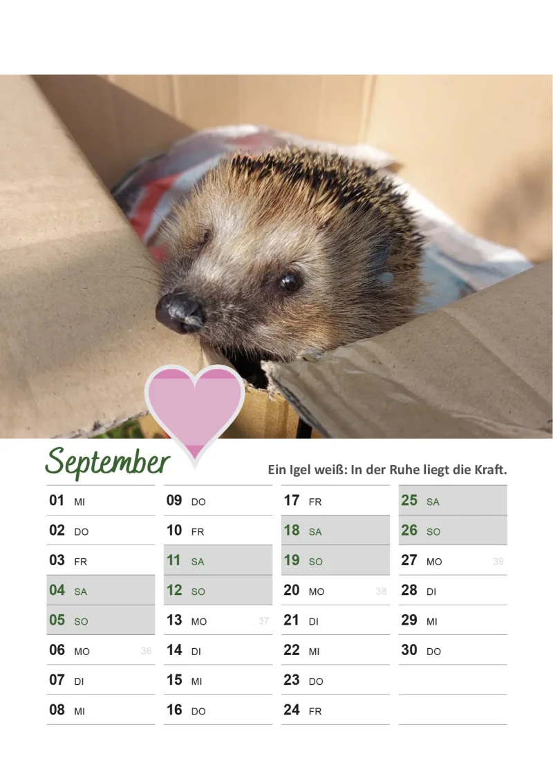 Igelkalender