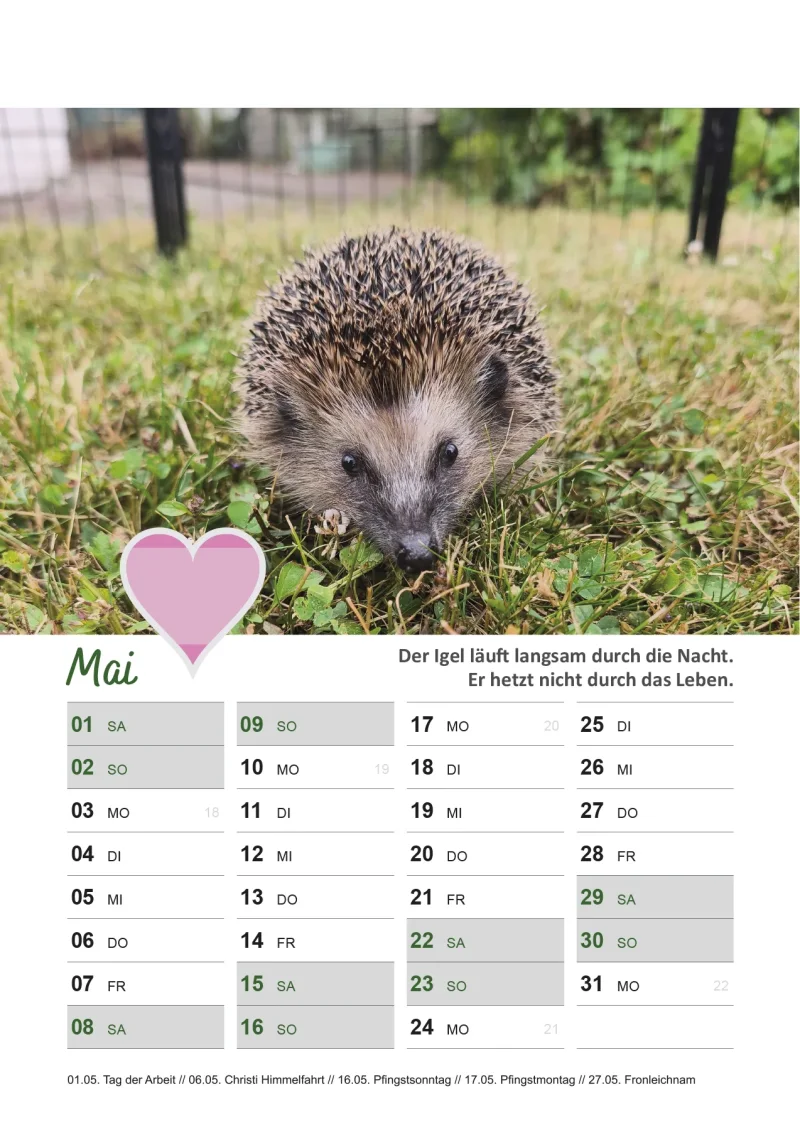 Igelkalender