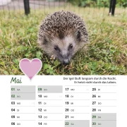 Igelkalender