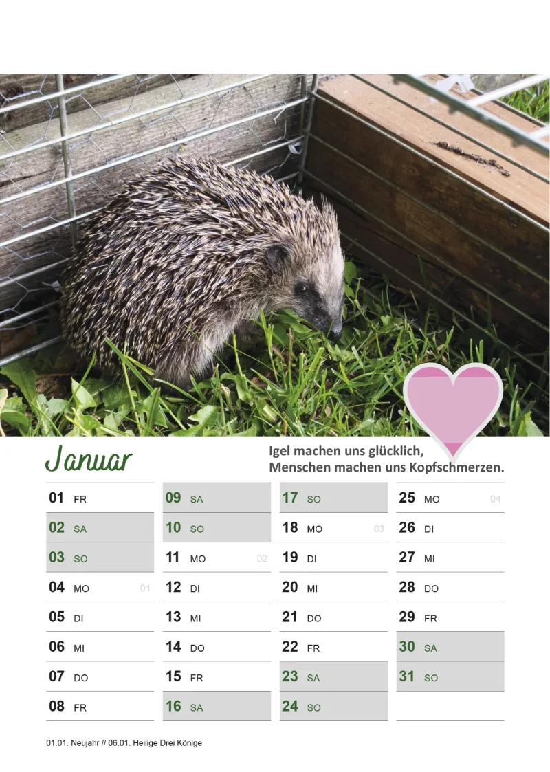 Igelkalender