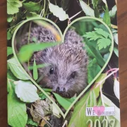 Igelkalender