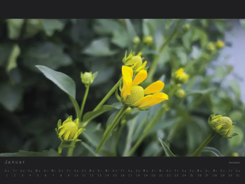 Wandkalender Blumen