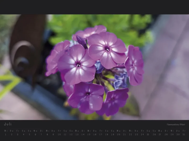 Wandkalender Blumen