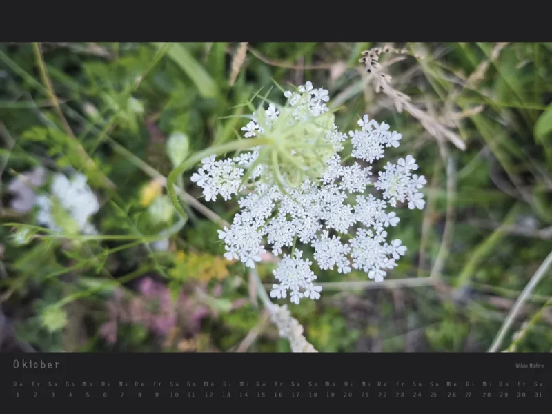 Wandkalender Blumen