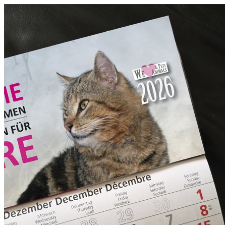Kalender 2026 und mehr